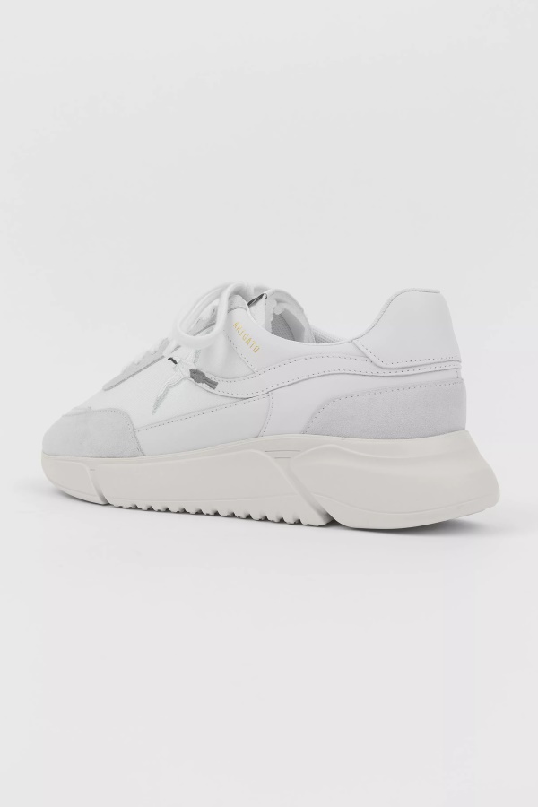 Genesis Raita Mehiläinen Lintu Valkoinen Axel Arigato